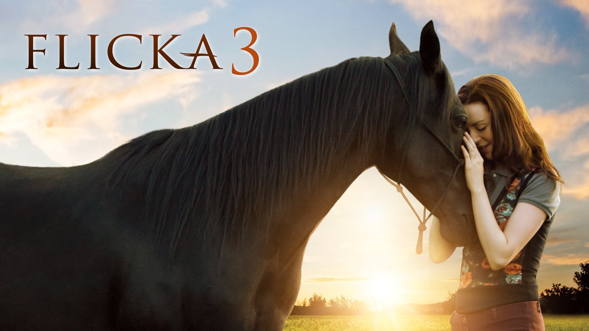 Foto do filme Flicka 3