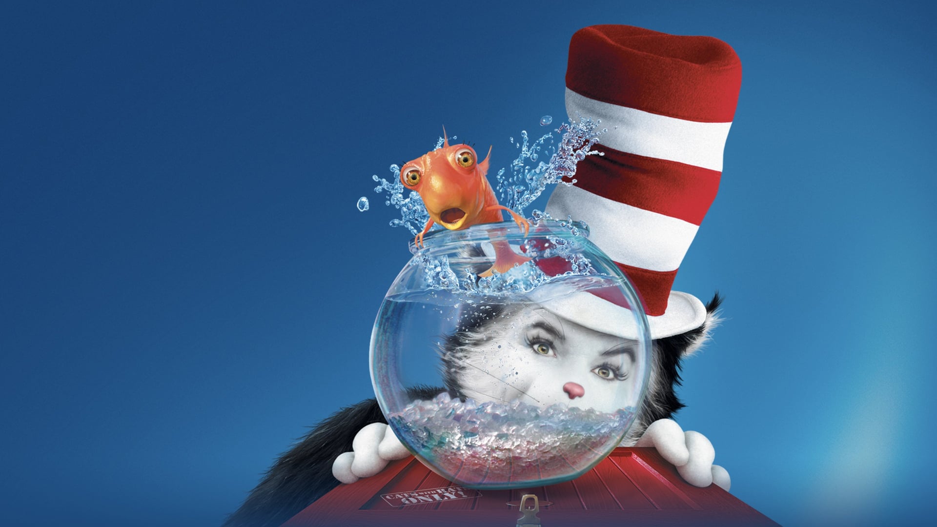 Foto do filme O Gato