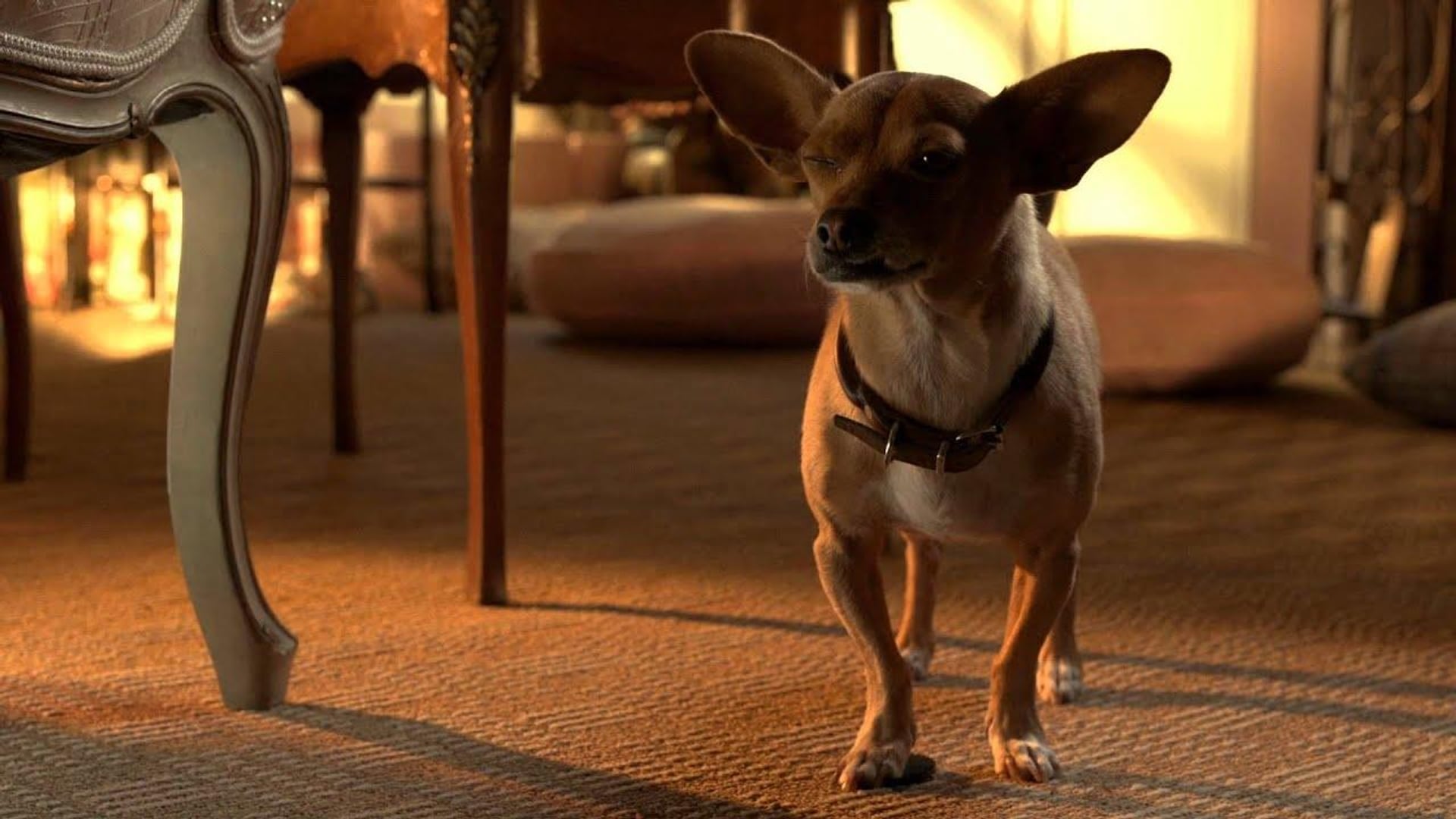 Foto do filme Perdido pra Cachorro 3