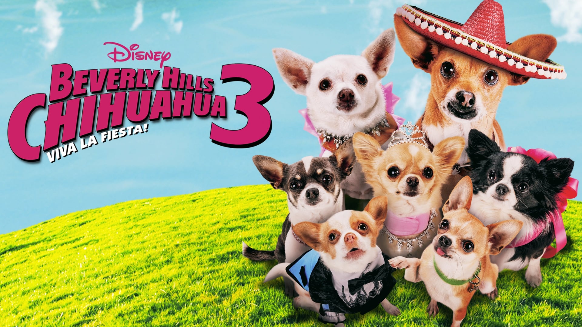 Foto do filme Perdido pra Cachorro 3