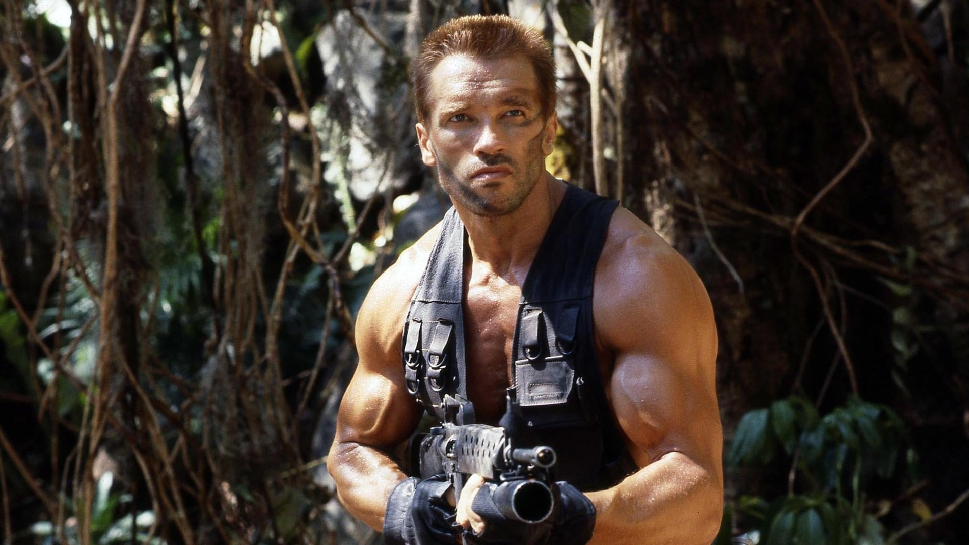 Foto do filme O Predador