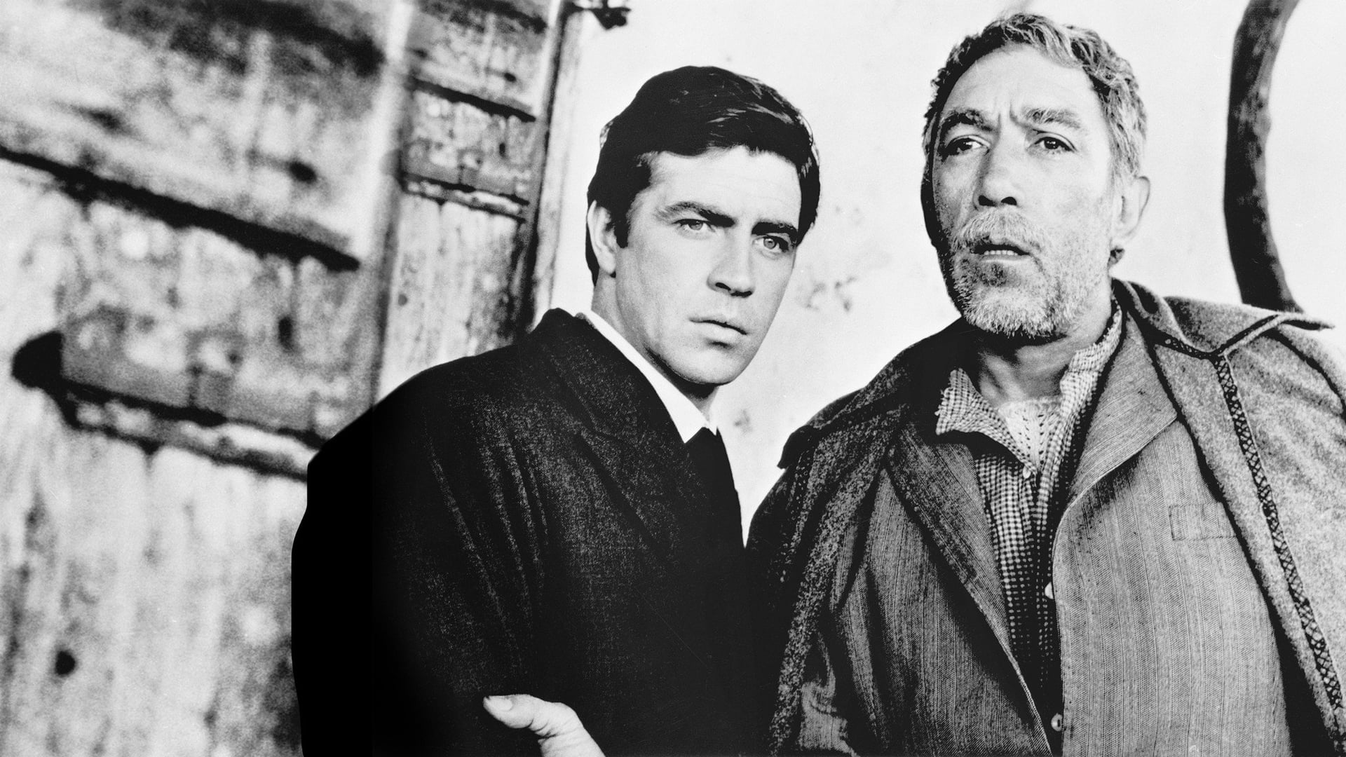 Foto do filme Zorba, O Grego