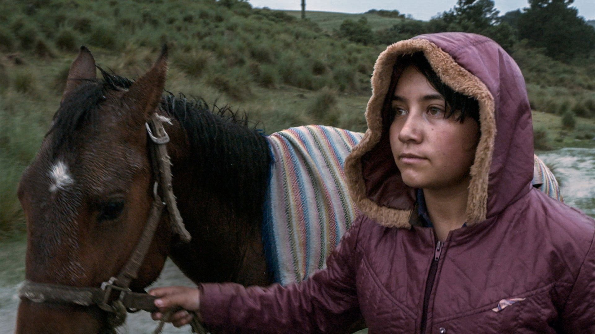 Foto do filme The Echo
