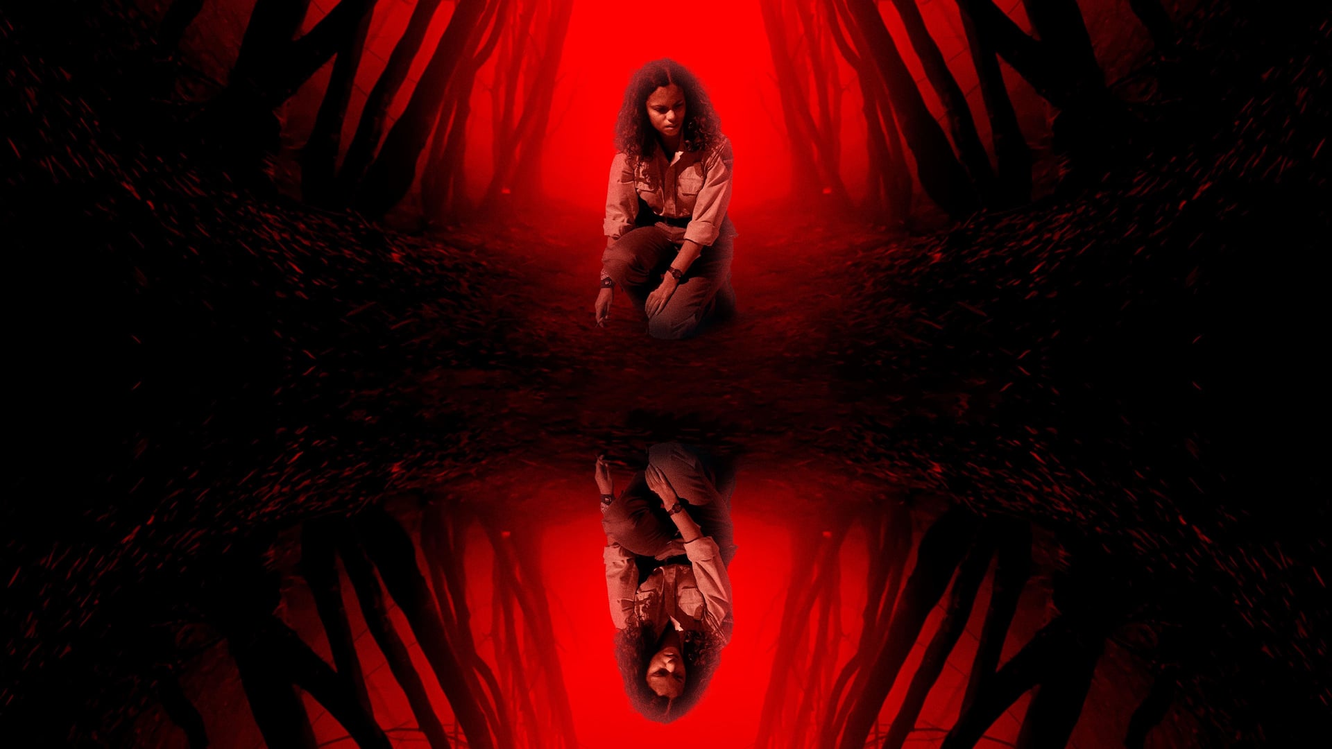 Foto do filme Uma Floresta Misteriosa