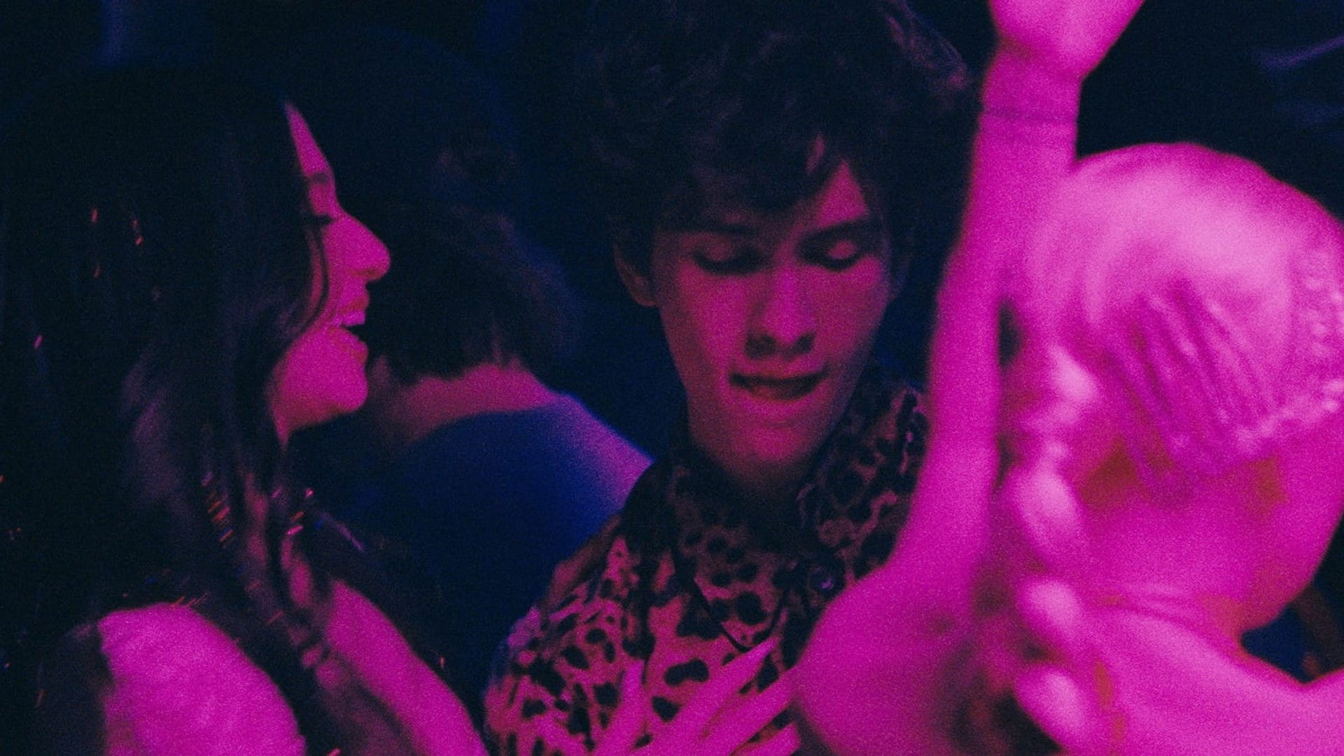 Foto do filme Anora
