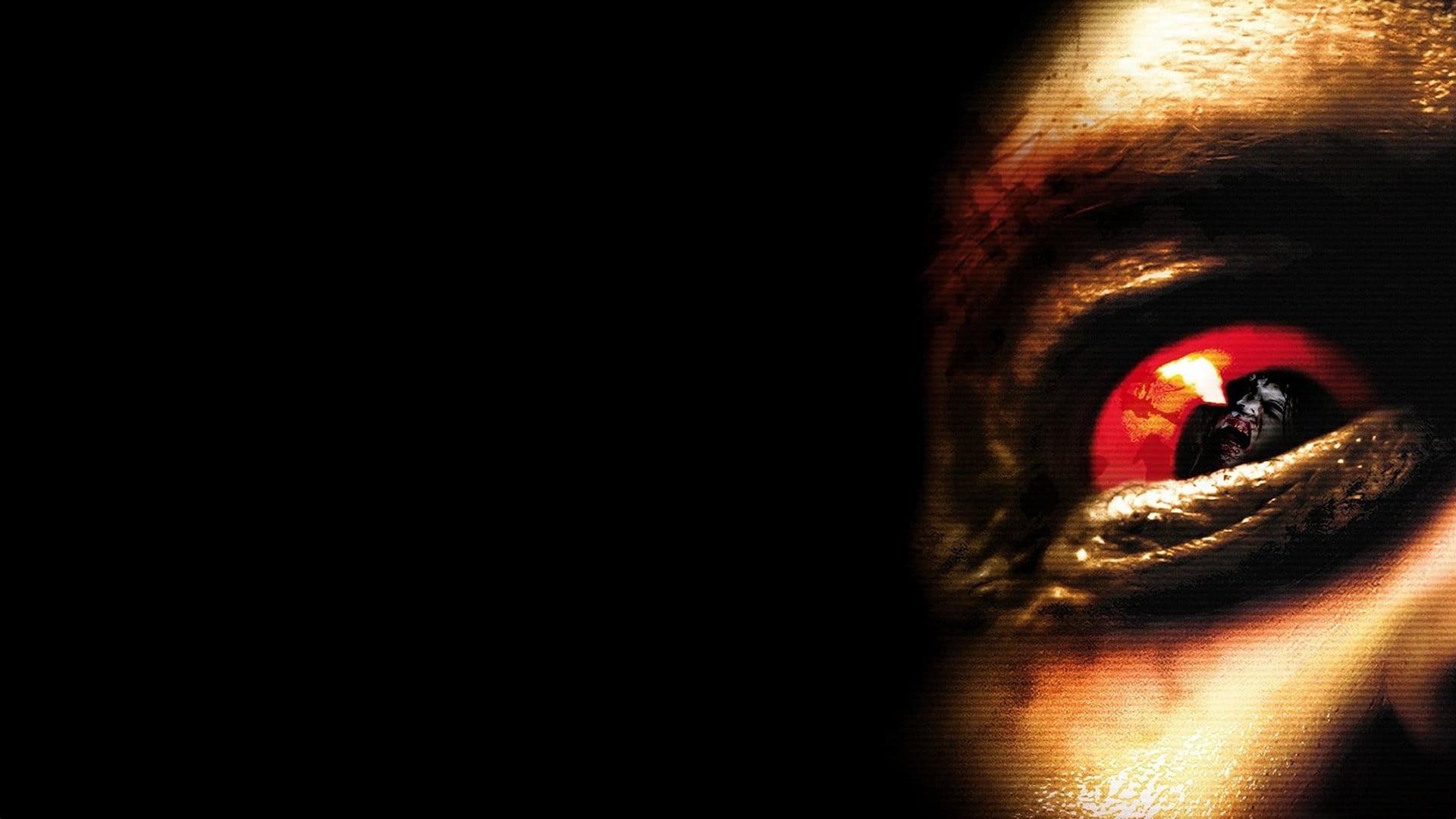 Foto do filme [REC] 2: Possuídos