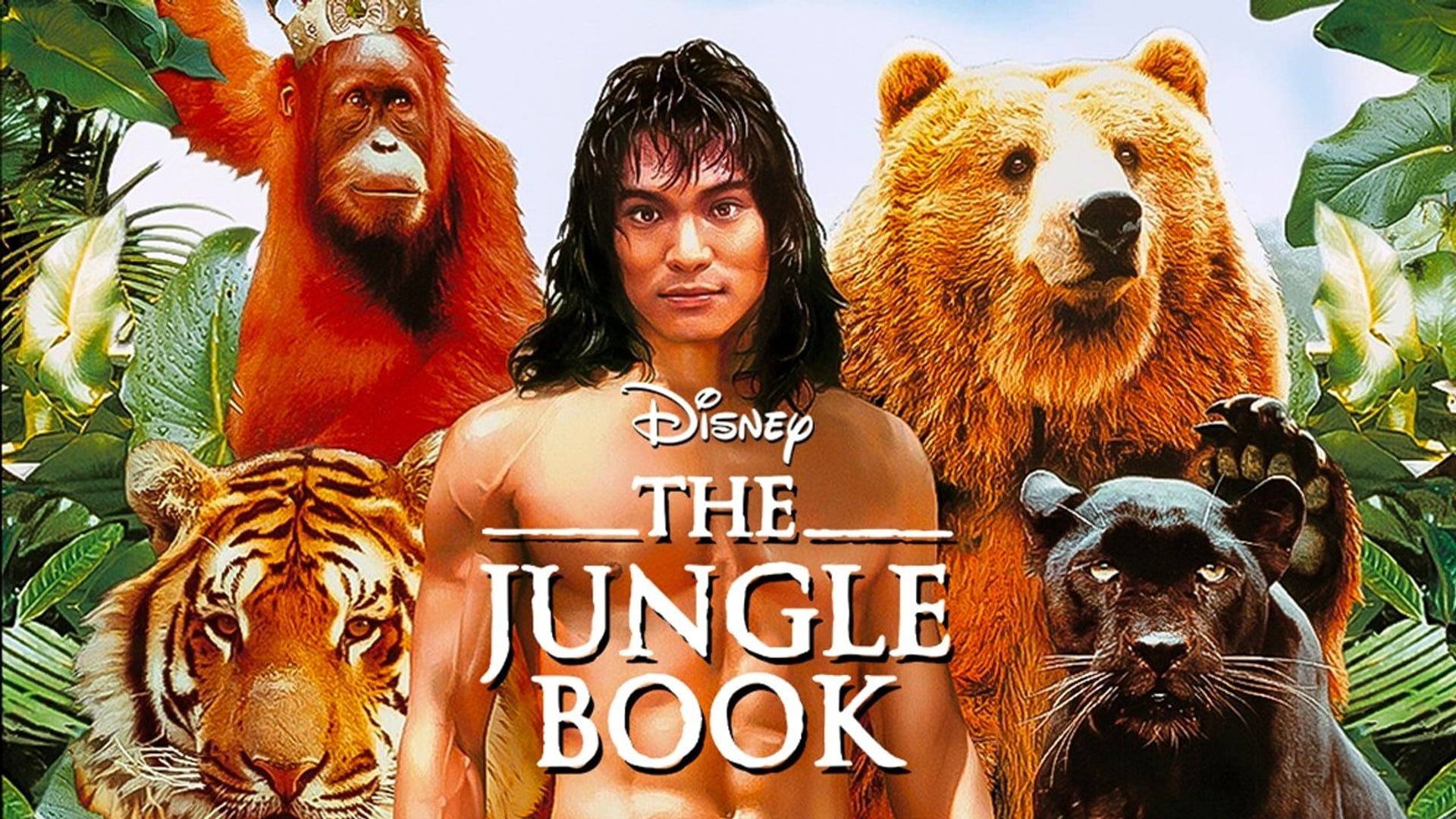Foto do filme O Livro da Selva