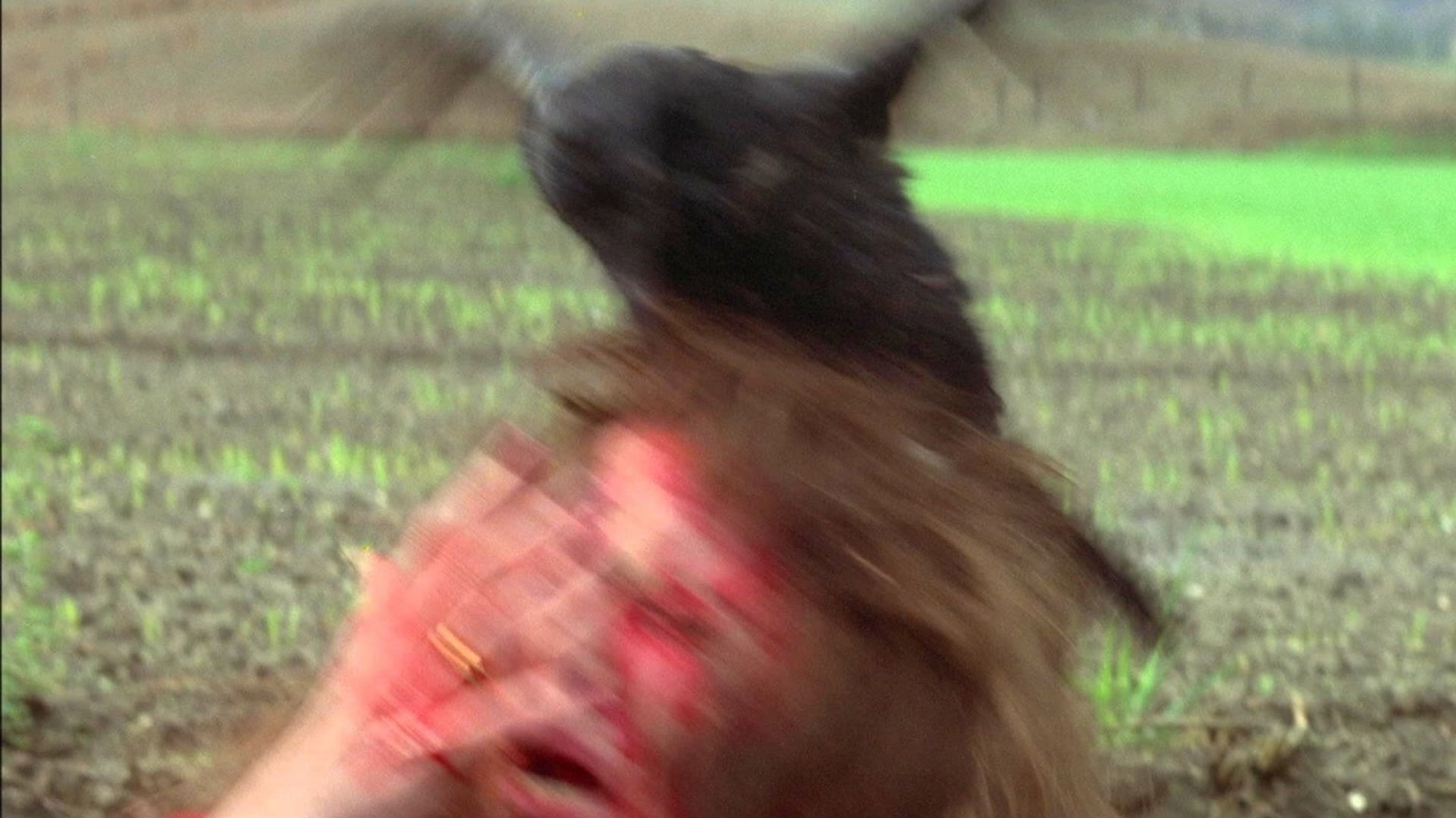 Foto do filme Damien: A Profecia 2