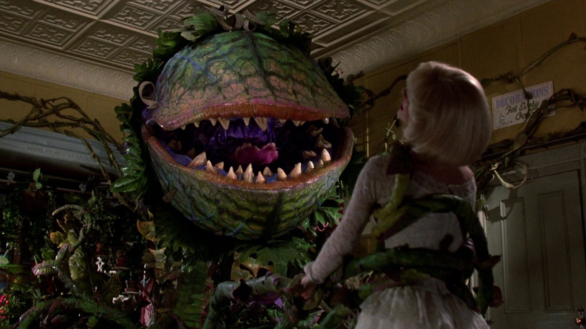 Foto do filme A Pequena Loja dos Horrores
