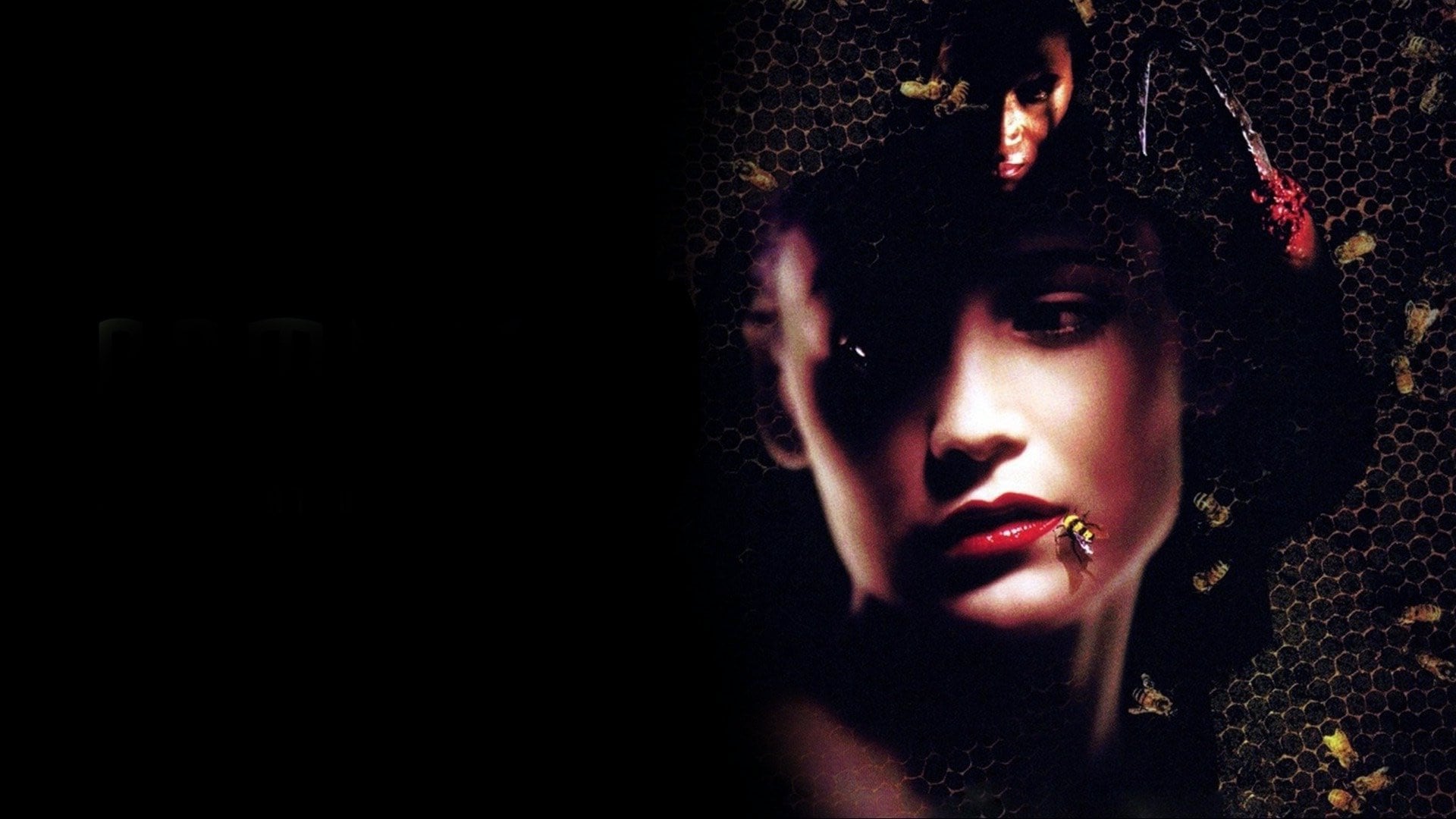Foto do filme Candyman 2 - A Vingança