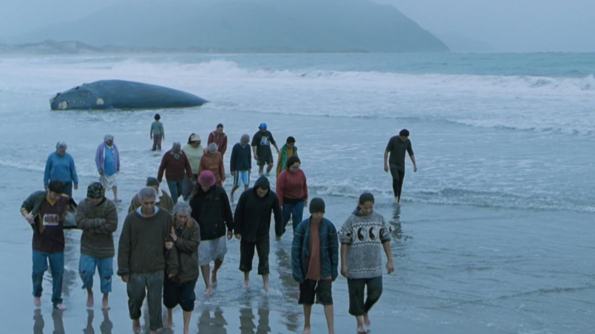 Foto do filme Encantadora de Baleias
