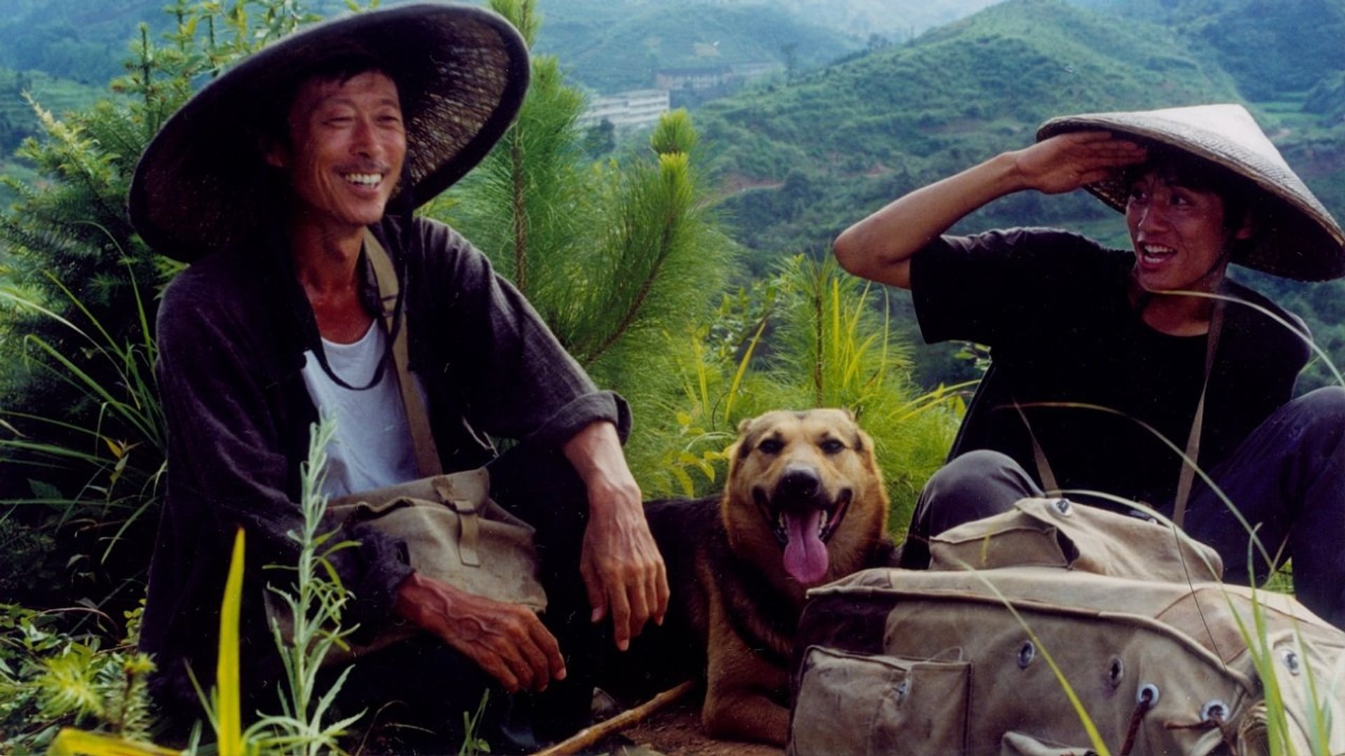 Foto do filme Carteiros nas Montanhas