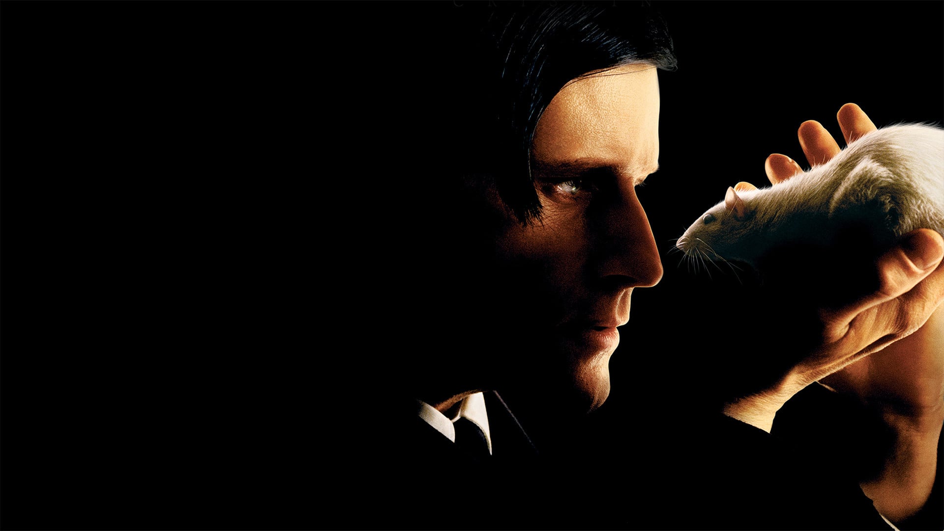 Foto do filme A Vingança de Willard