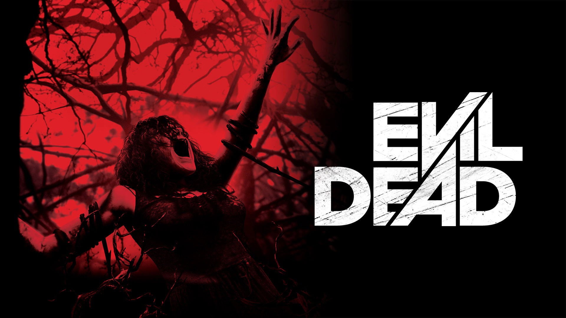Foto do filme A Morte do Demônio