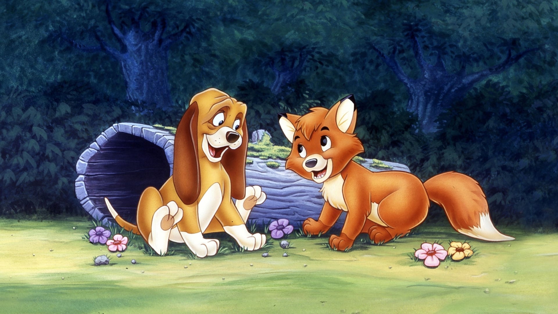 Foto do filme O Cão e a Raposa