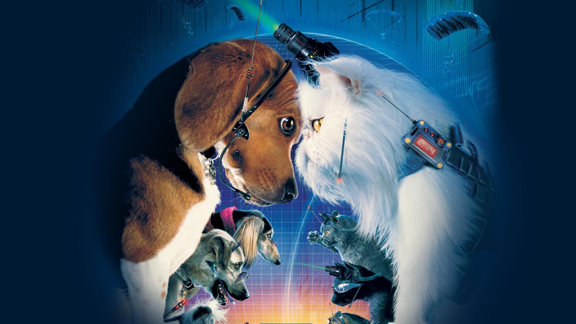 Foto do filme Como Cães e Gatos