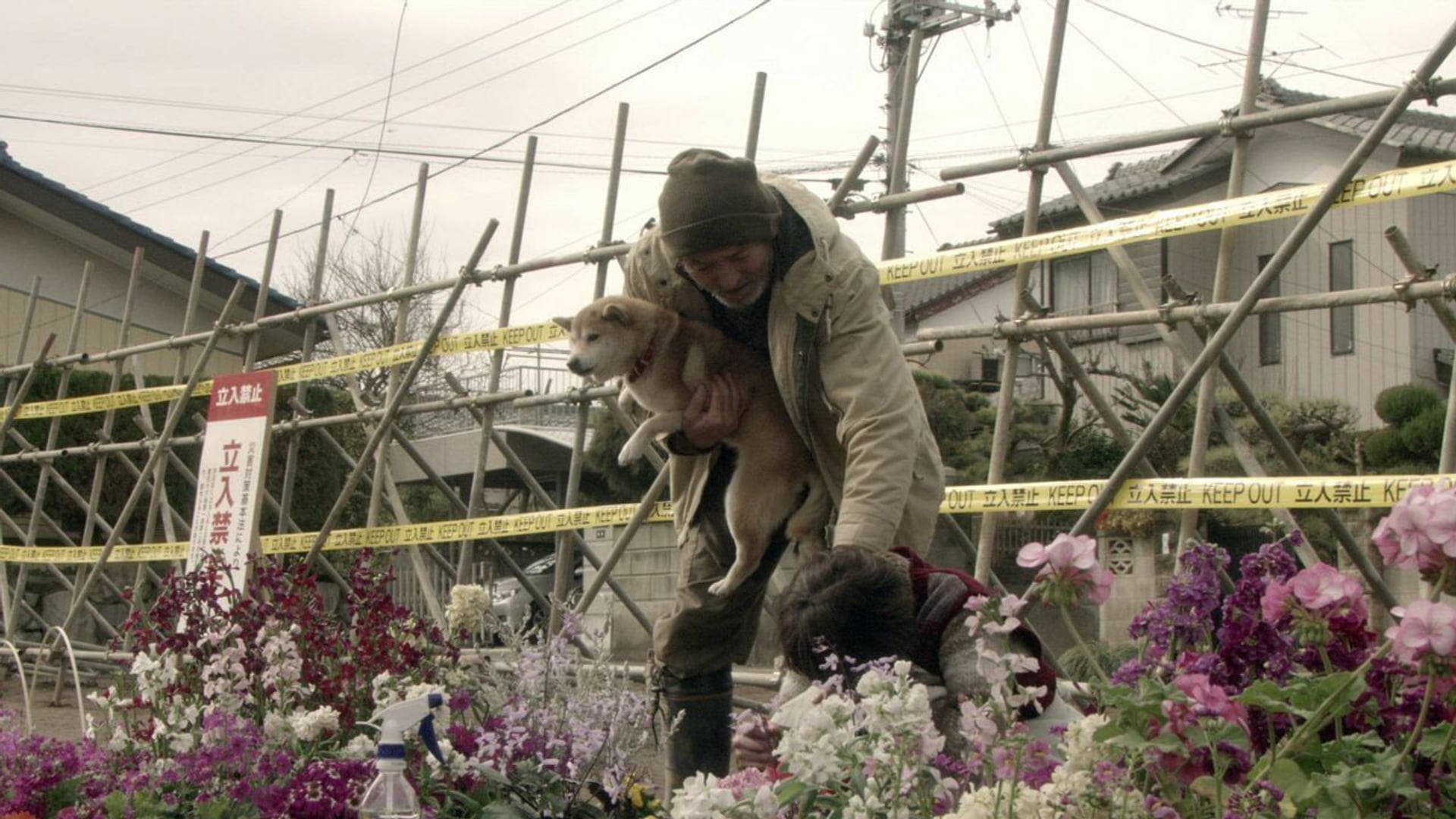 Foto do filme The Land of Hope