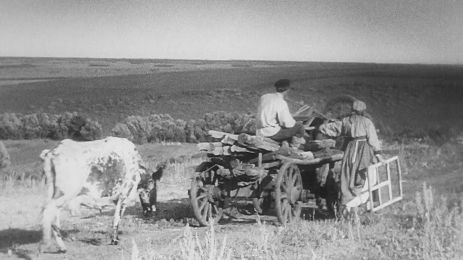 Foto do filme O Velho e o Novo