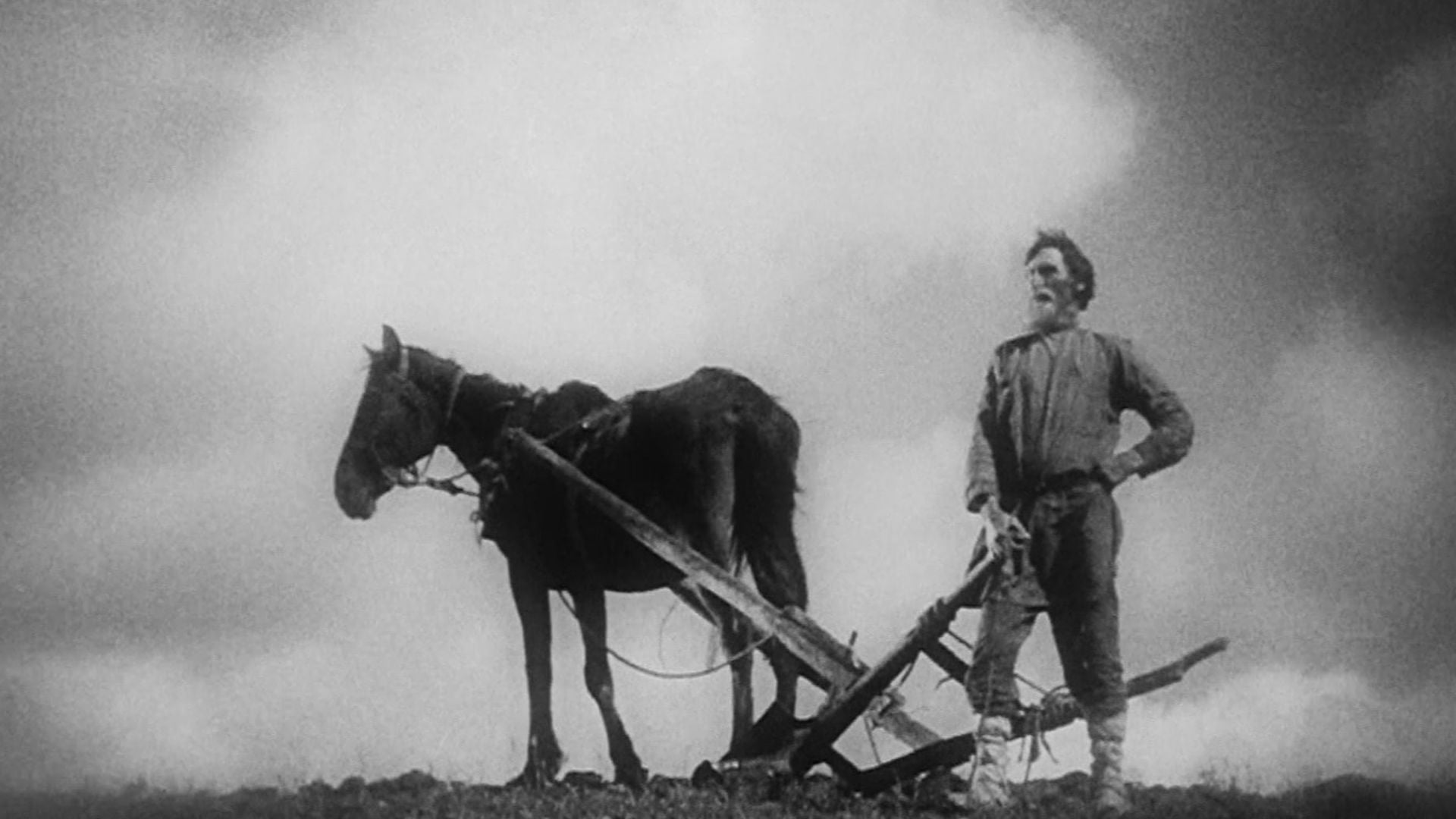 Foto do filme O Velho e o Novo
