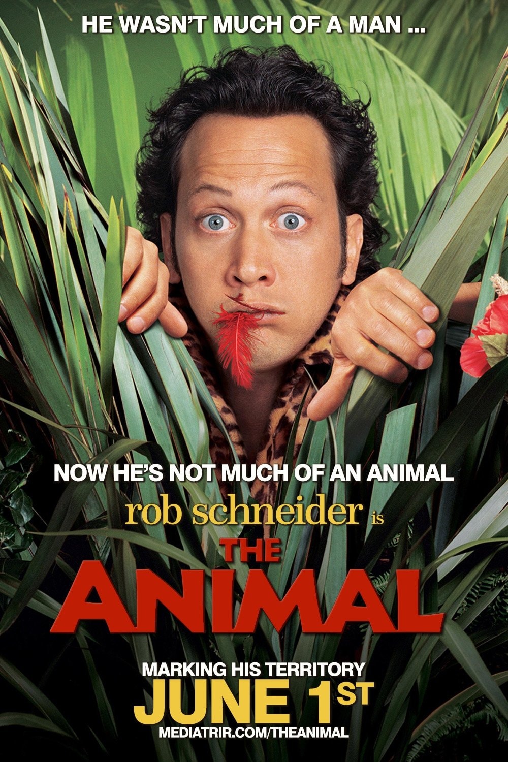 Animal