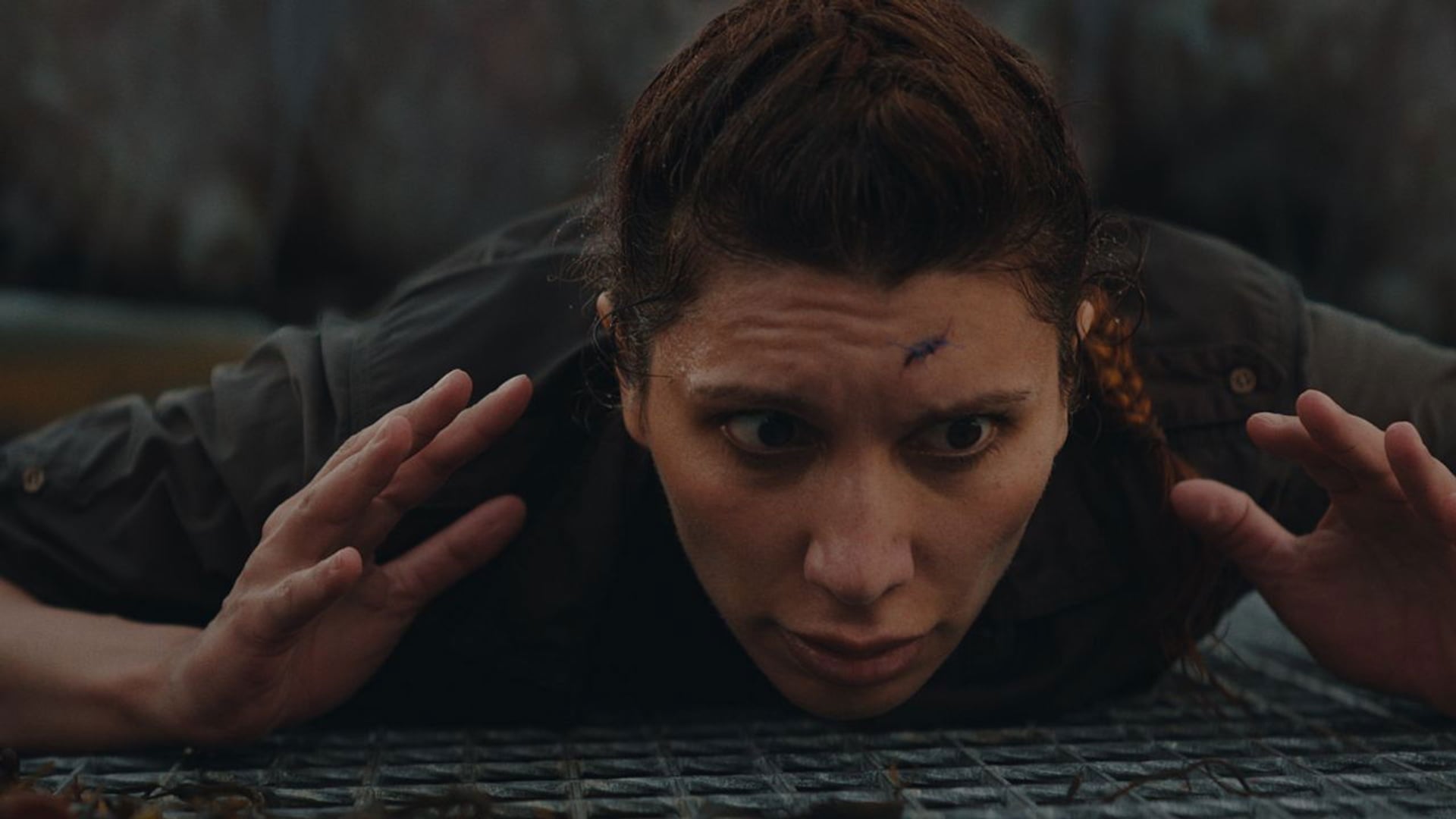 Foto do filme Kraken