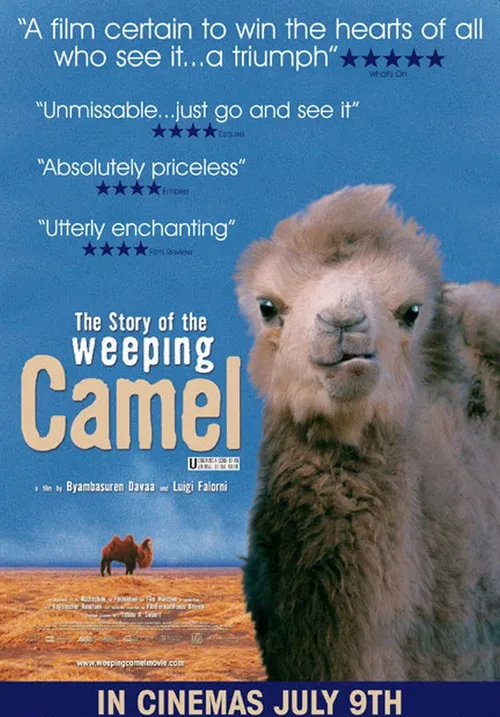 Camelos Também Choram