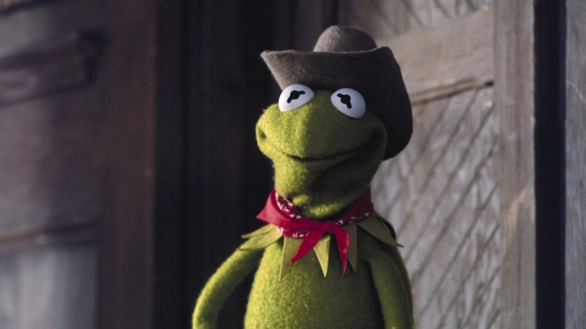 Foto do filme Muppets: O Filme