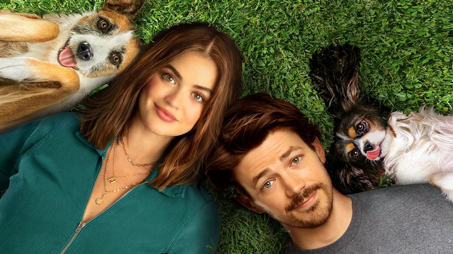 Foto do filme Pais de Pets