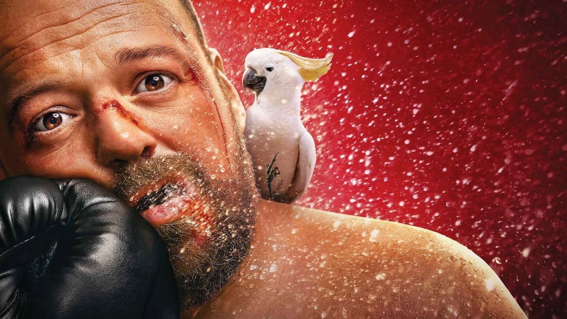 Foto do filme Challenger