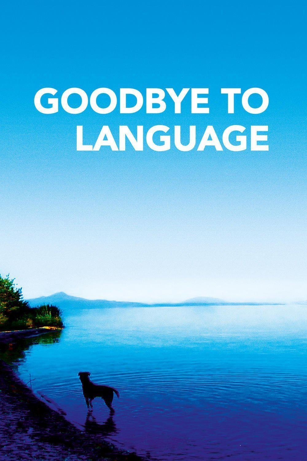 Adeus à Linguagem