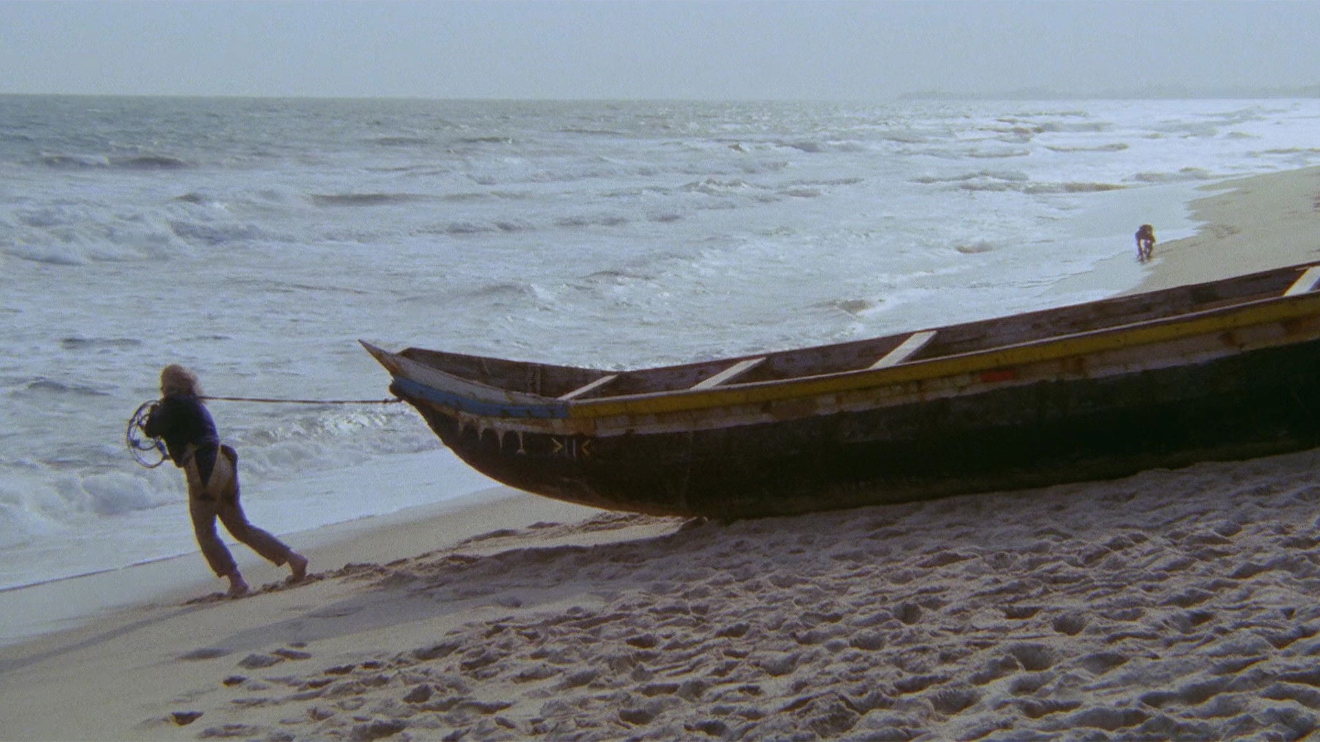 Foto do filme Cobra Verde