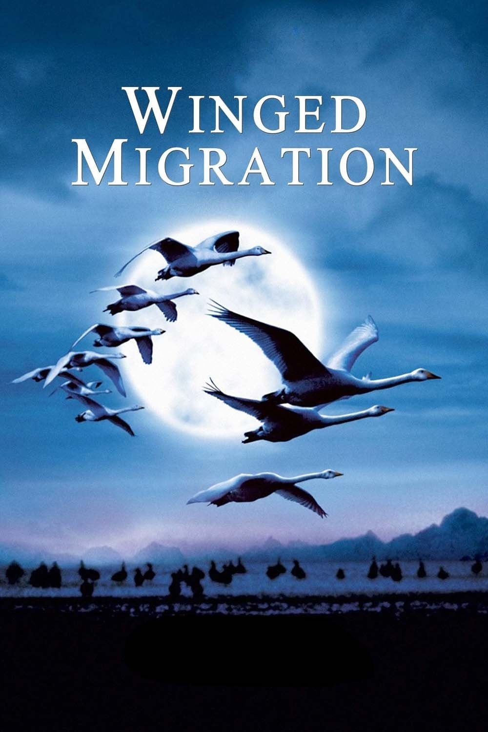 Migração Alada