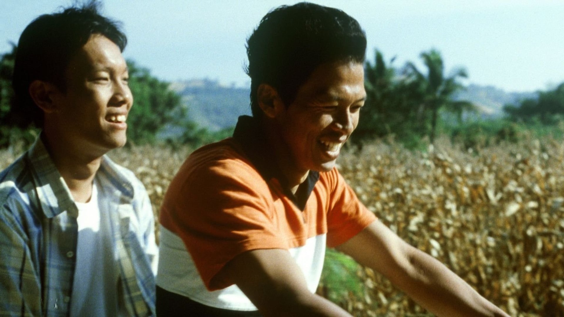 Foto do filme Mal dos Trópicos