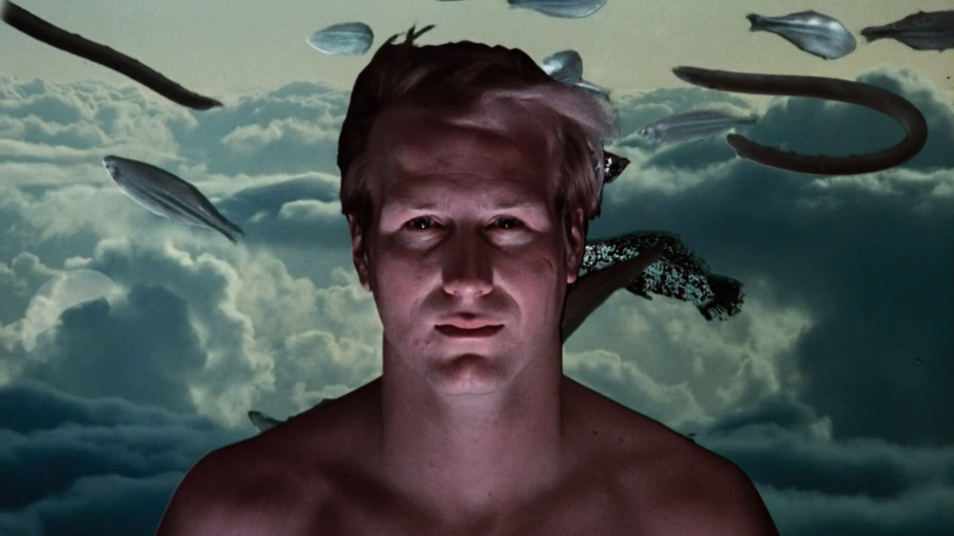 Foto do filme Viagens Alucinantes
