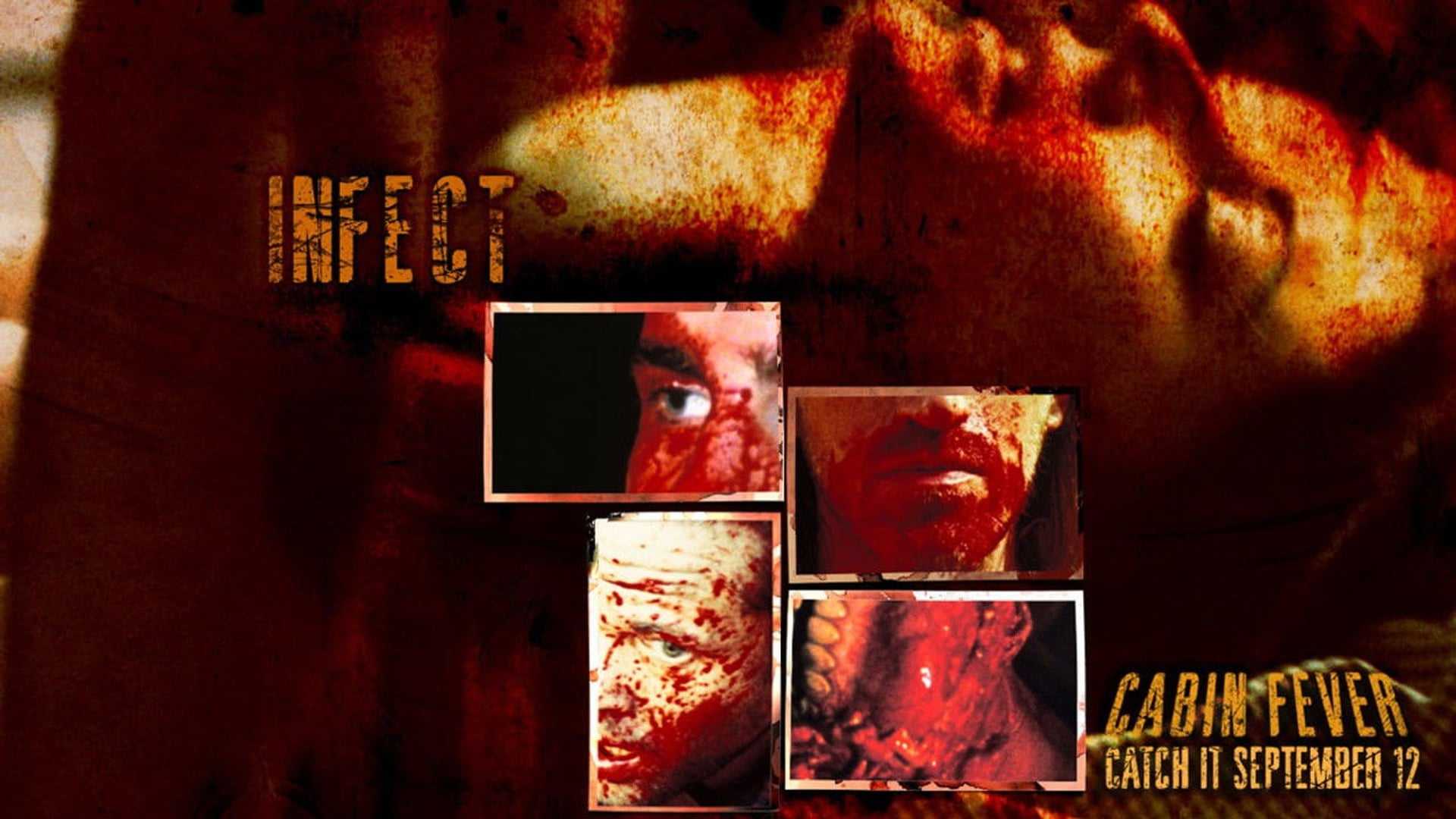 Foto do filme Cabana do Inferno