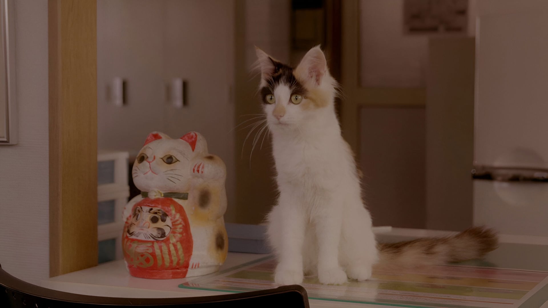 Foto do filme Rent-a-Cat