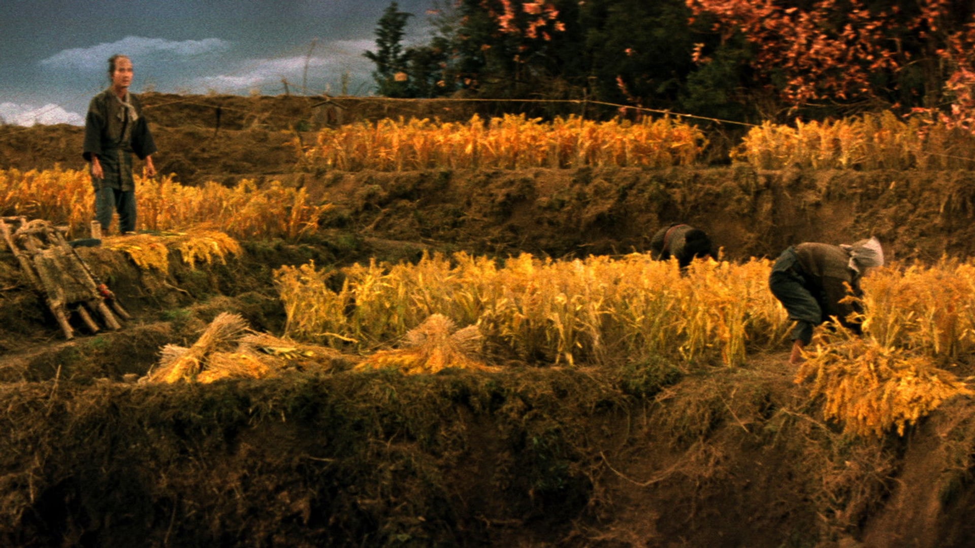 Foto do filme A Balada de Narayama