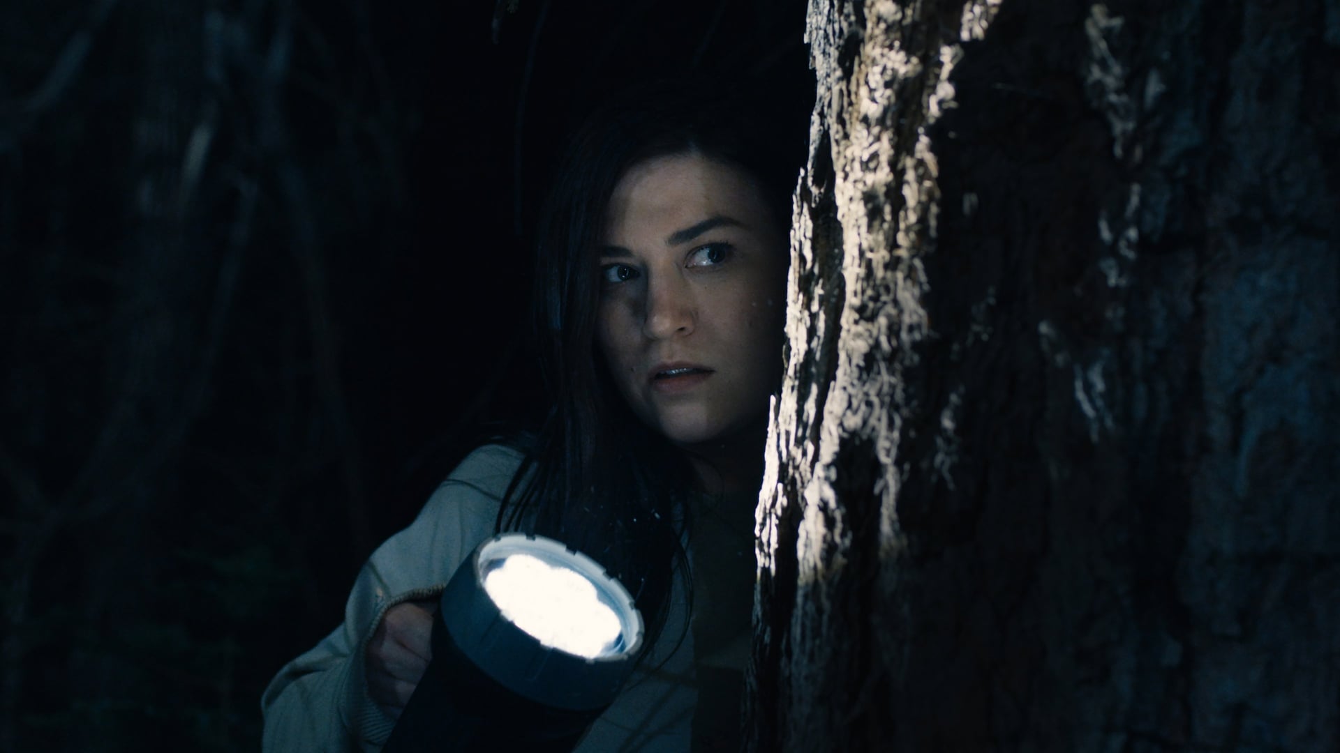 Foto do filme Um Estranho no Bosque