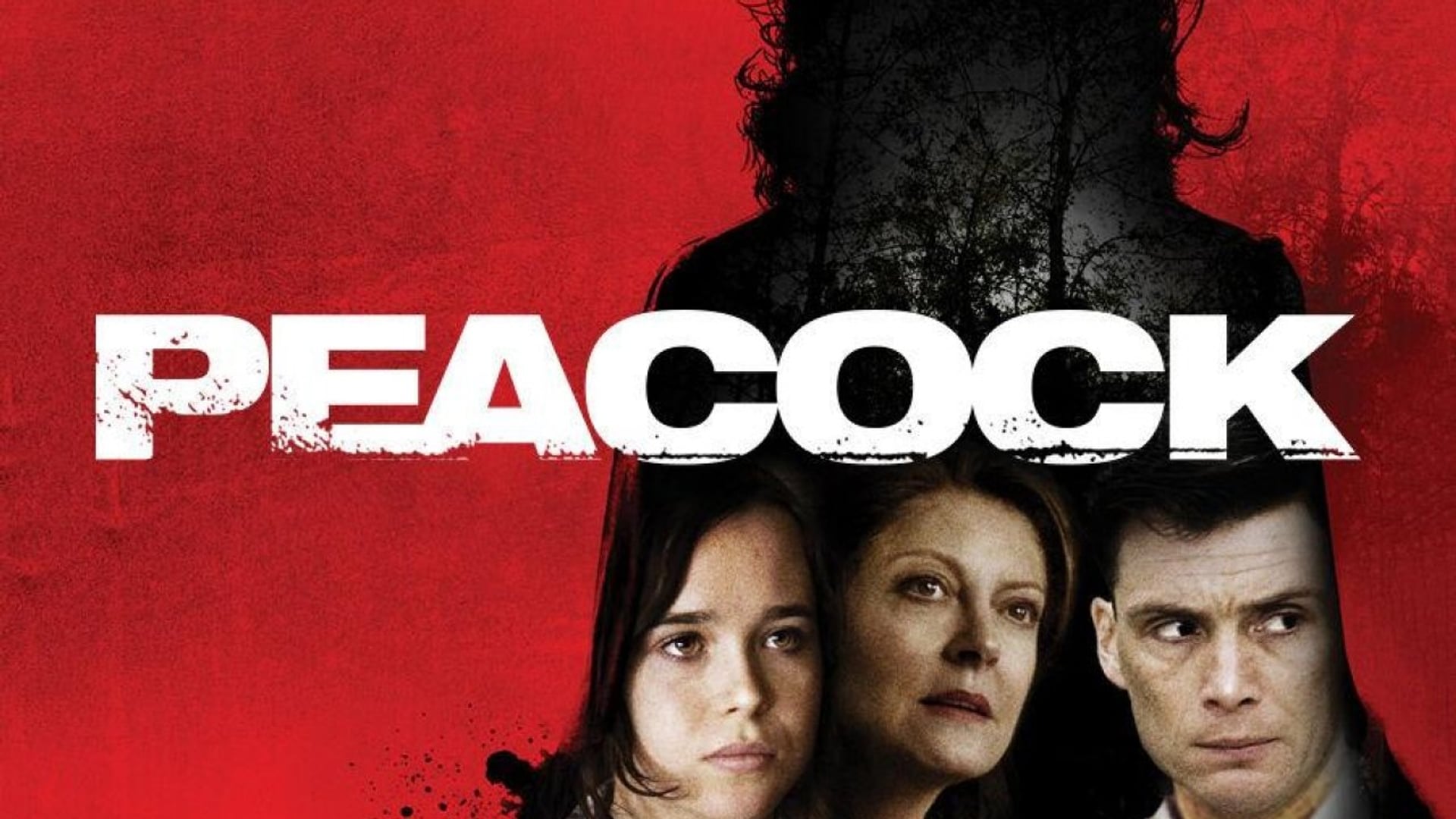Foto do filme Face Oculta