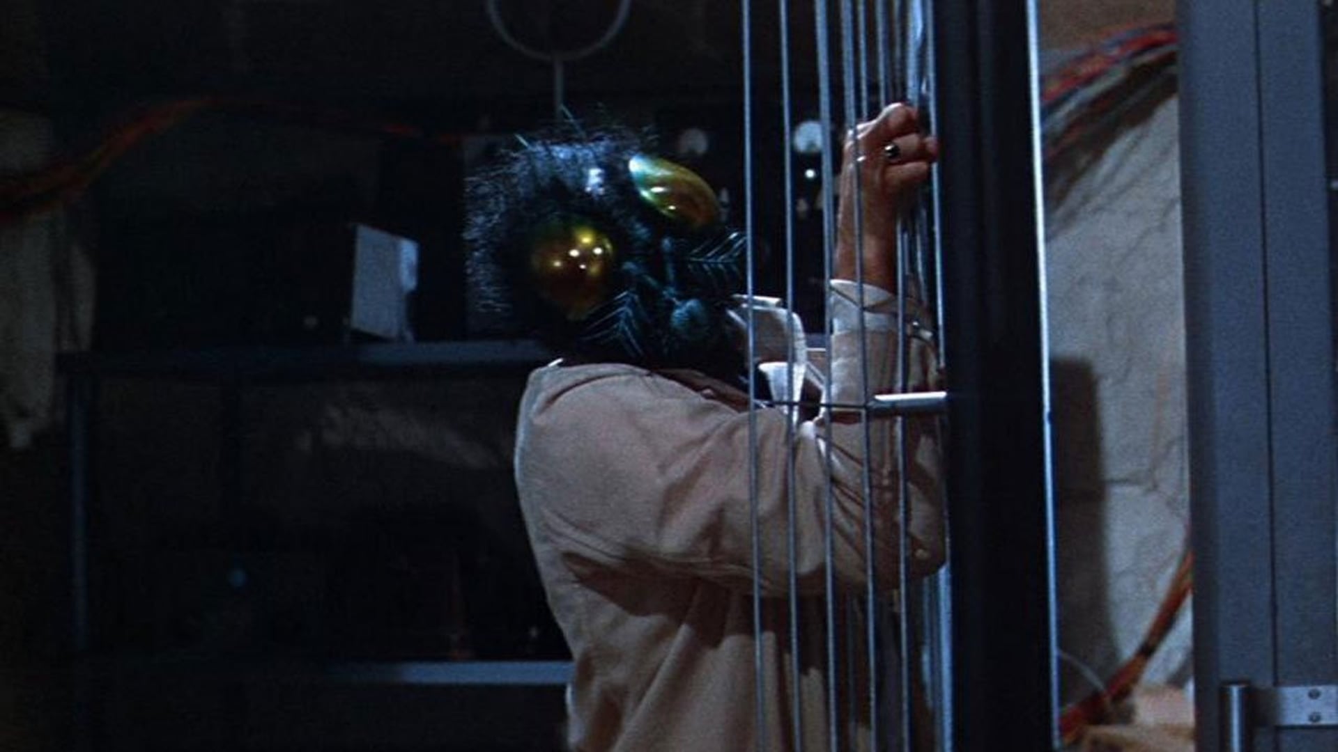 Foto do filme A Mosca da Cabeça Branca