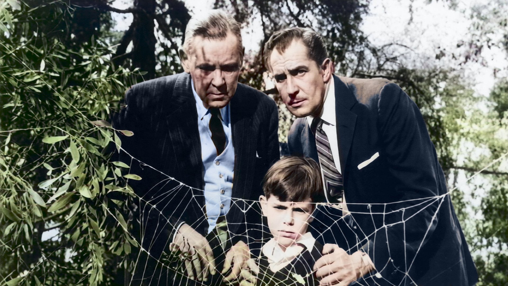Foto do filme A Mosca da Cabeça Branca