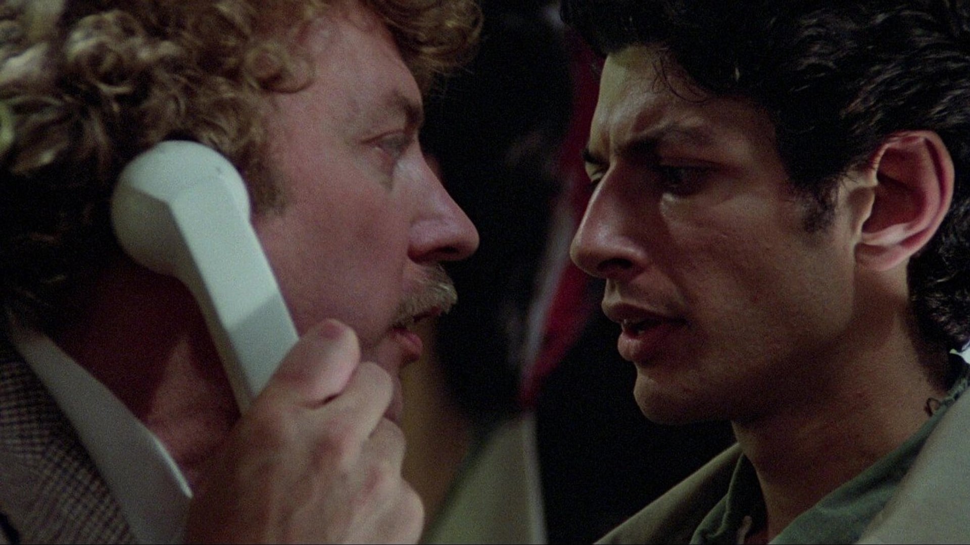Foto do filme Os Invasores de Corpos