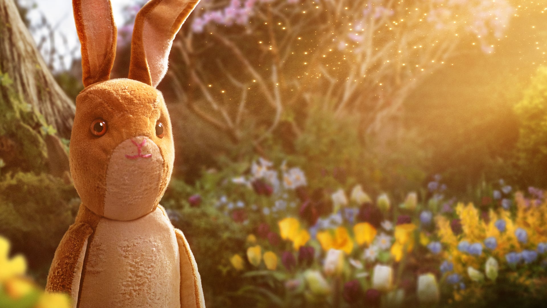 Foto do filme O Coelhinho de Veludo