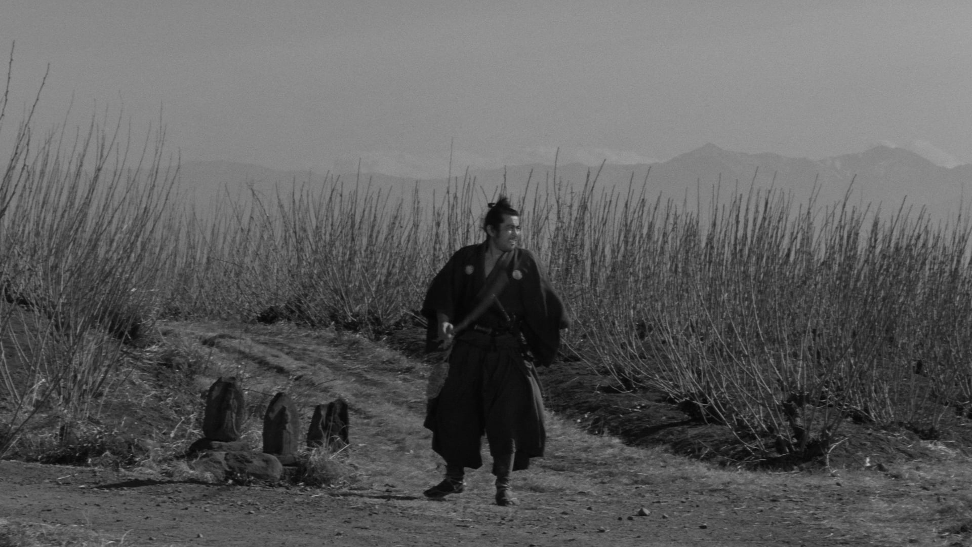 Foto do filme Yojimbo, o Guarda-Costas