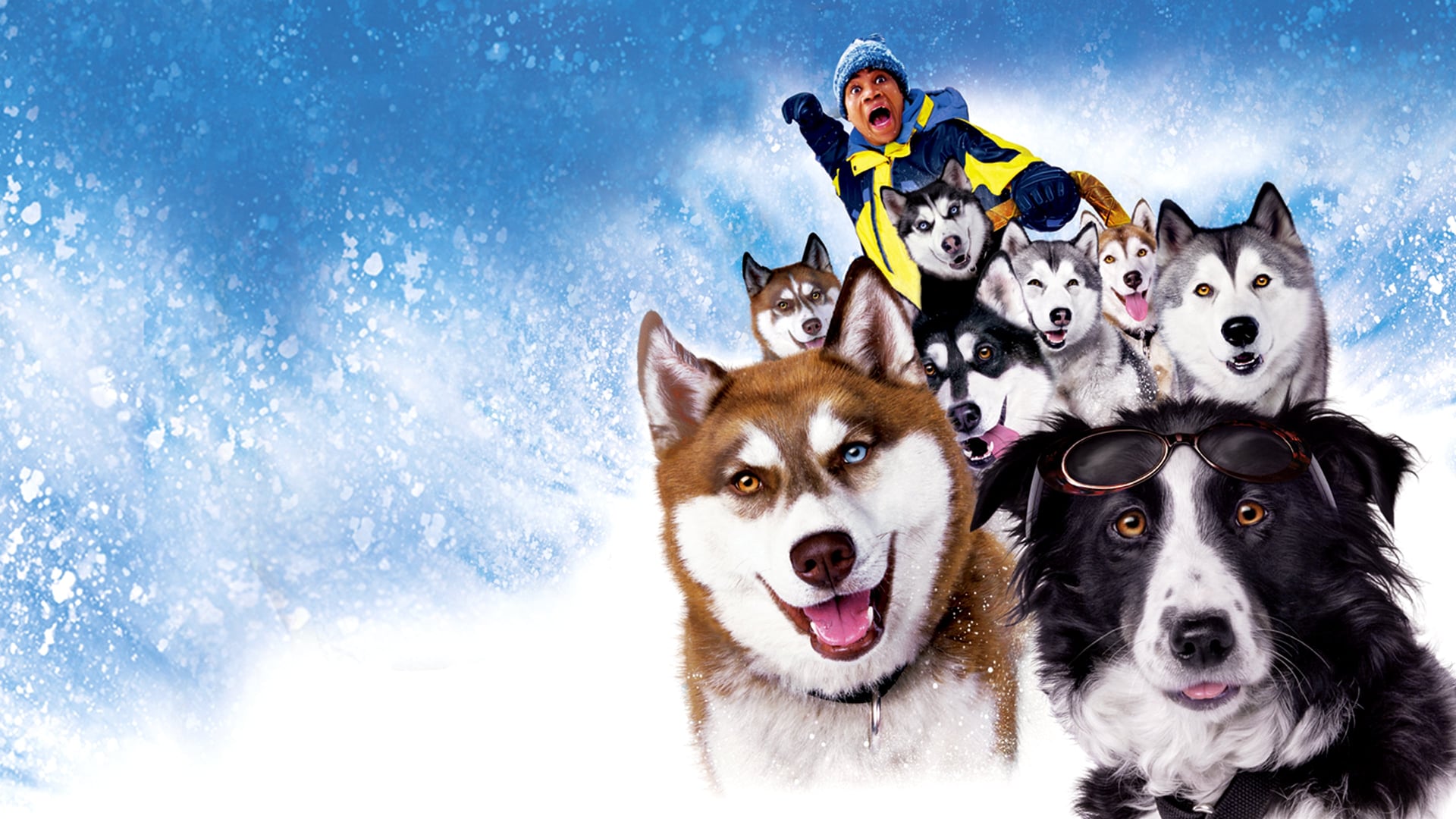 Foto do filme Neve pra Cachorro