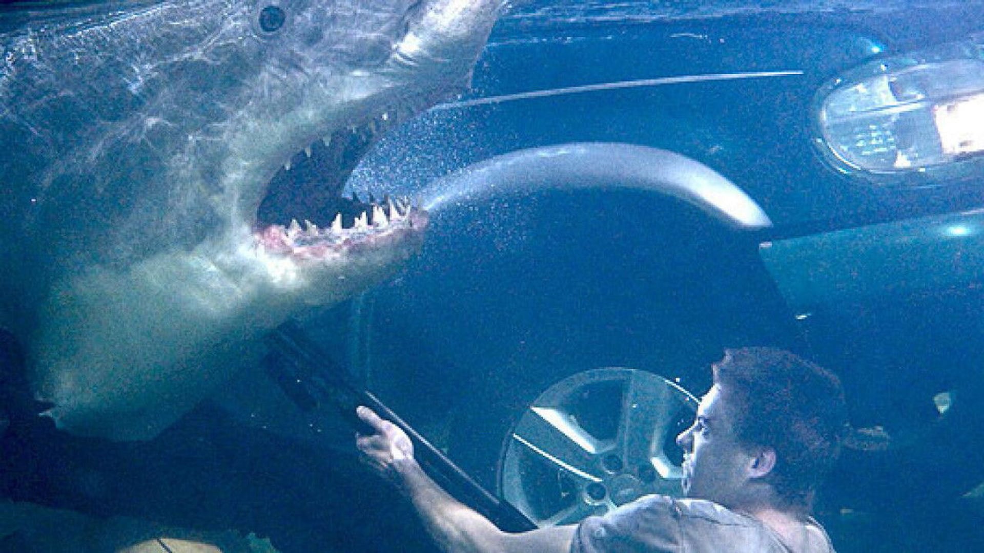 Foto do filme A Isca