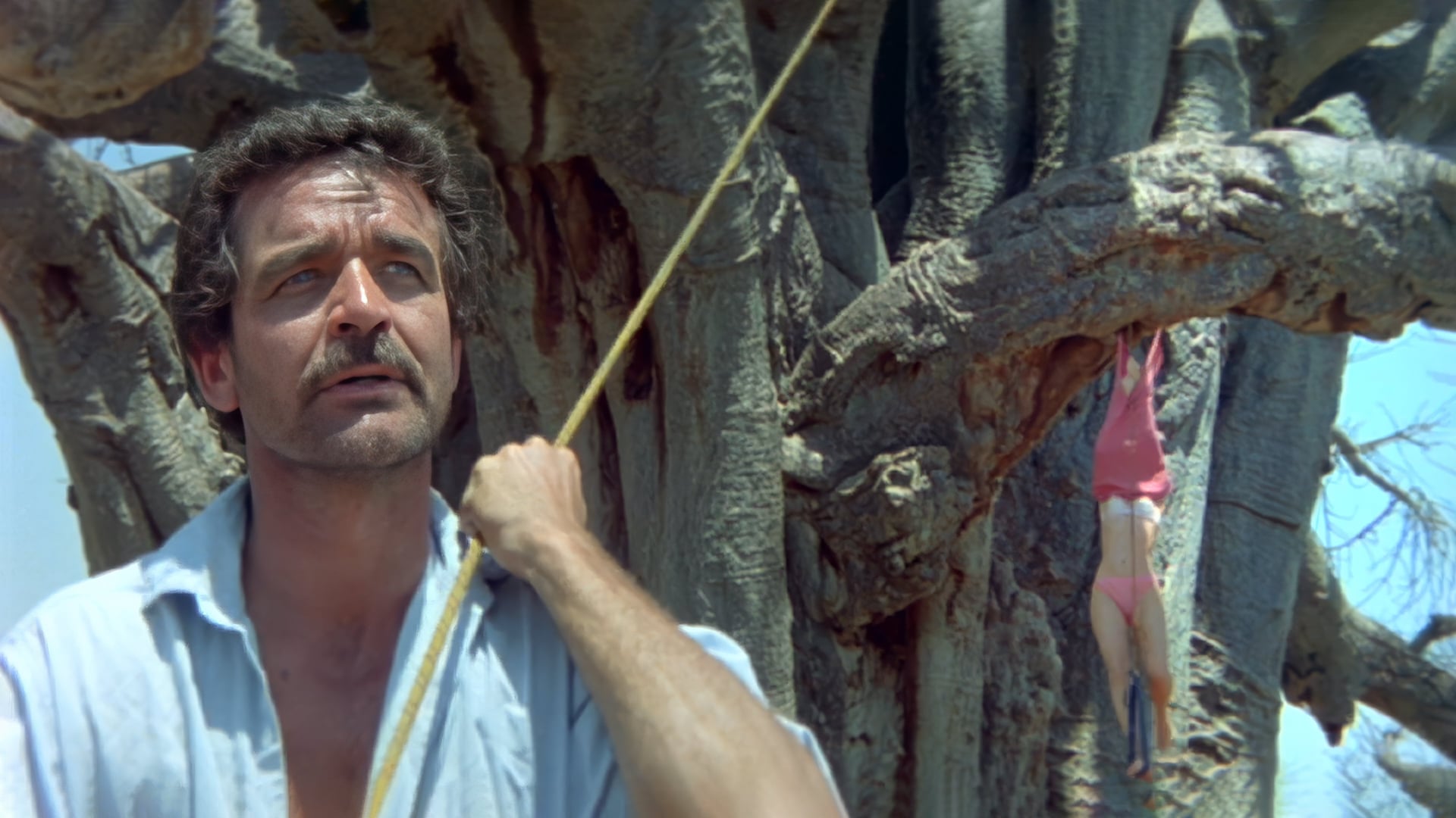 Foto do filme Os Deuses Devem Estar Loucos 2