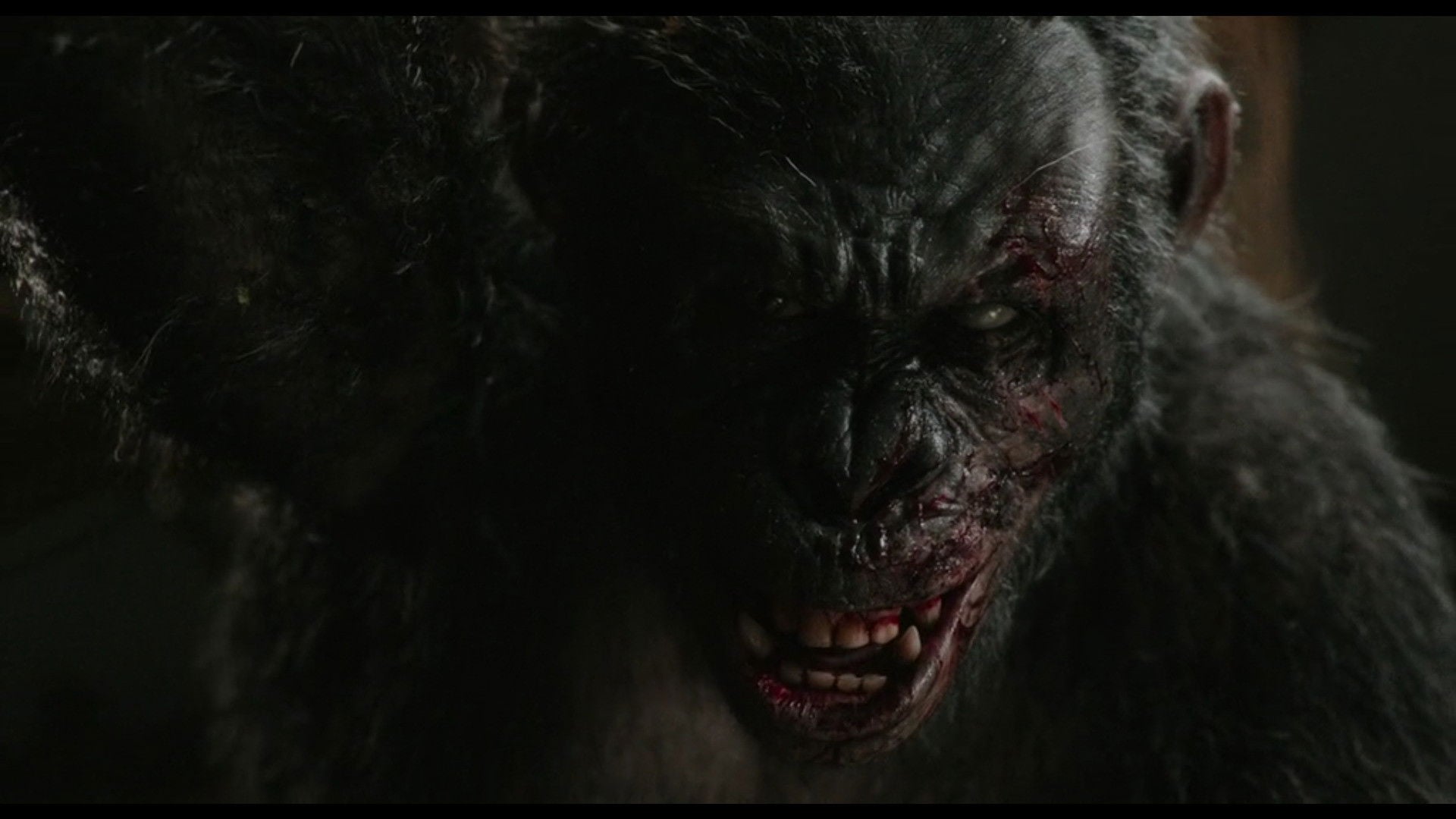 Foto do filme Planeta dos Macacos: O Confronto