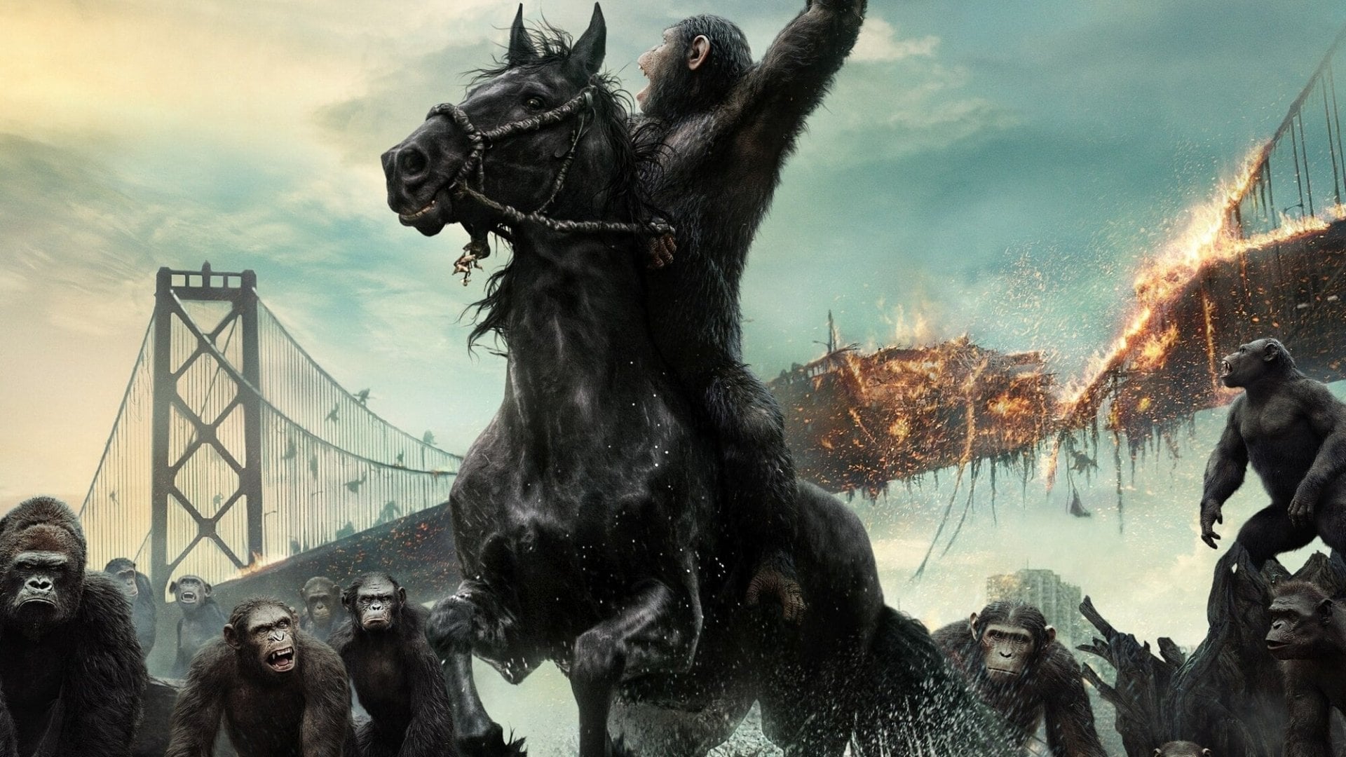 Foto do filme Planeta dos Macacos: O Confronto