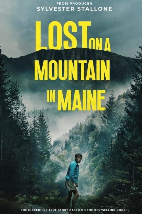 Perdido na Montanha